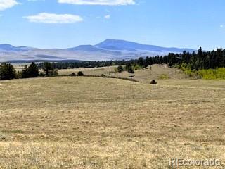 7493 Ranch Road Hartsel CO 80449