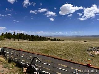 7493 Ranch Road Hartsel CO 80449