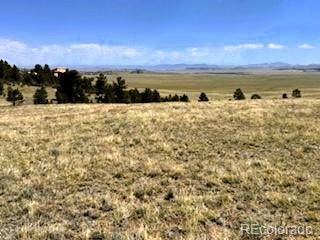 7493 Ranch Road Hartsel CO 80449