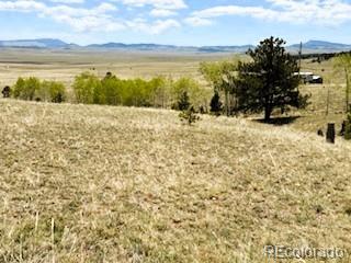 7493 Ranch Road Hartsel CO 80449