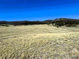 7493 Ranch Road Hartsel CO 80449