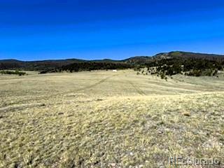 7493 Ranch Road Hartsel CO 80449
