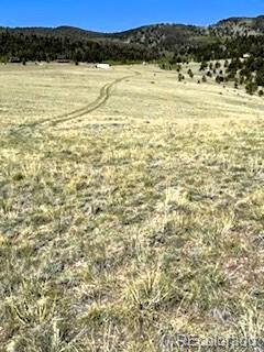 7493 Ranch Road Hartsel CO 80449