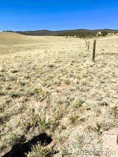 7493 Ranch Road Hartsel CO 80449