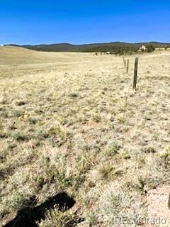 7493 Ranch Road Hartsel CO 80449