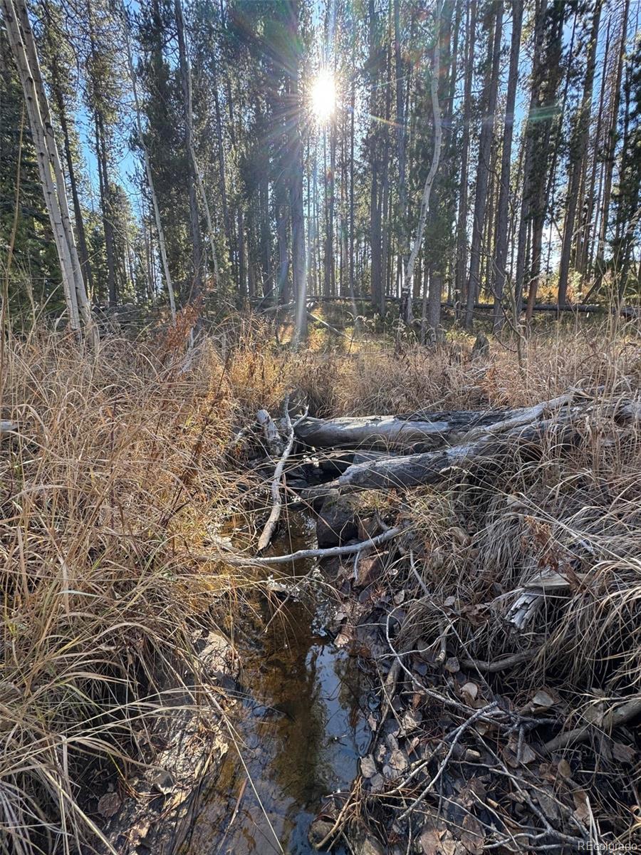 Lot 216620 Indian Springs Road Conifer CO 80433