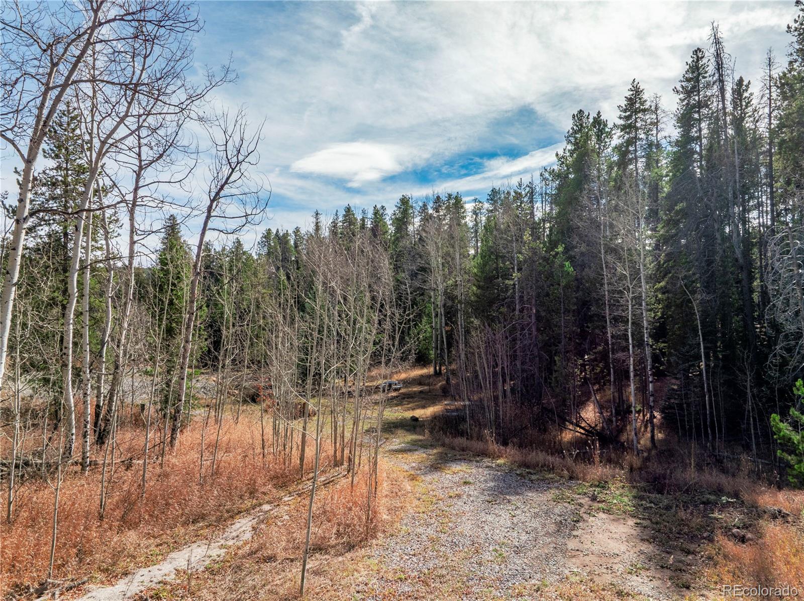 Lot 216620 Indian Springs Road Conifer CO 80433