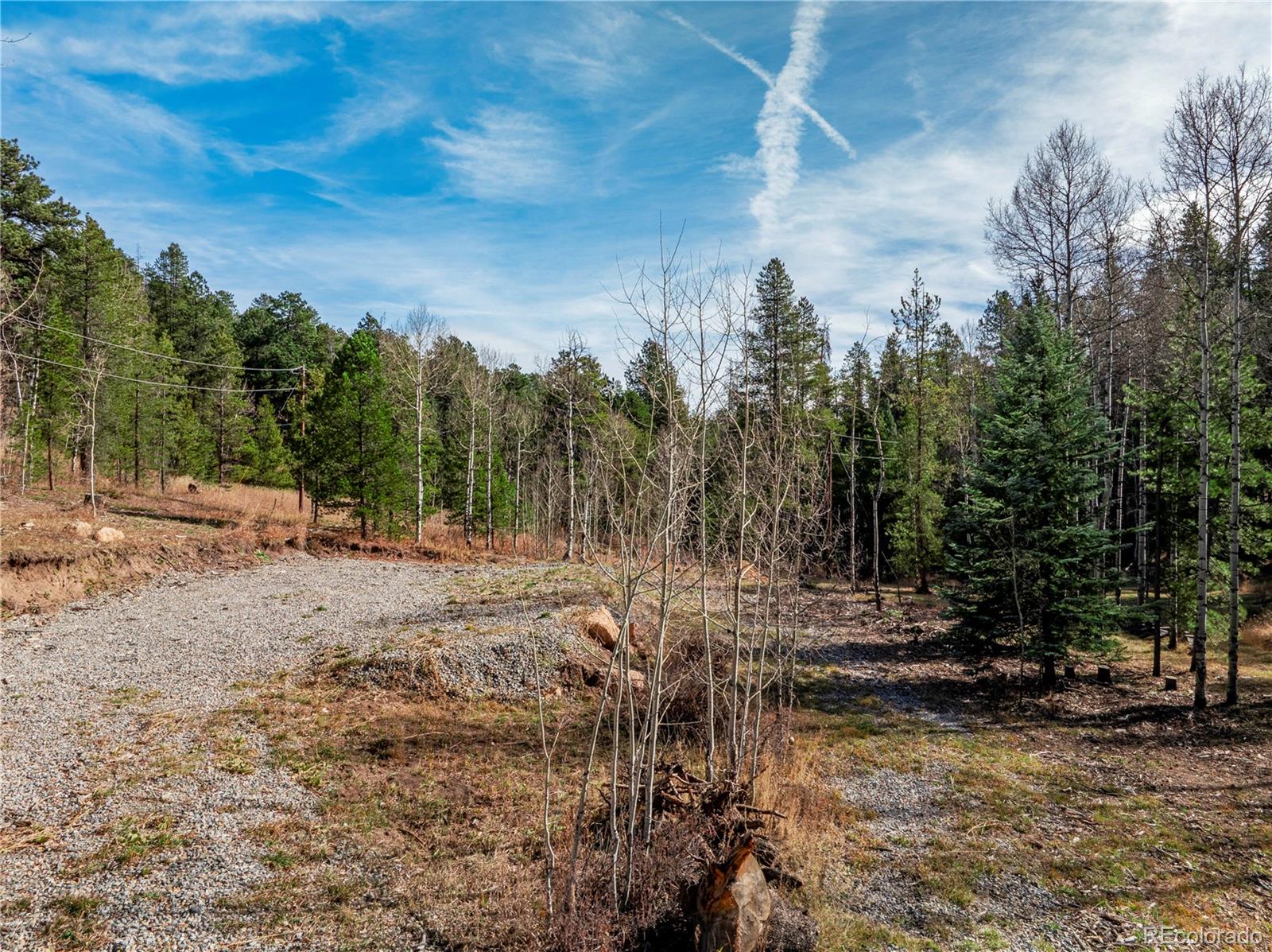 Lot 216620 Indian Springs Road Conifer CO 80433