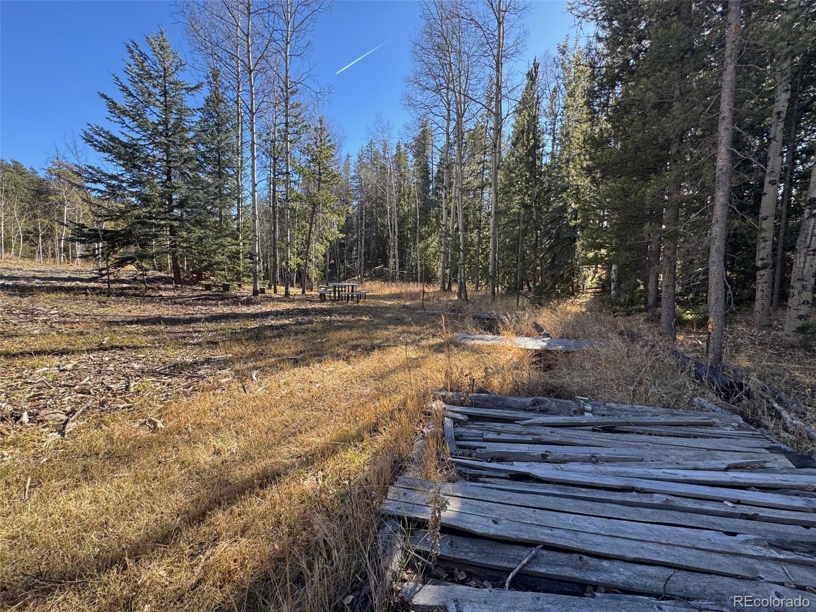 Lot 216620 Indian Springs Road Conifer CO 80433