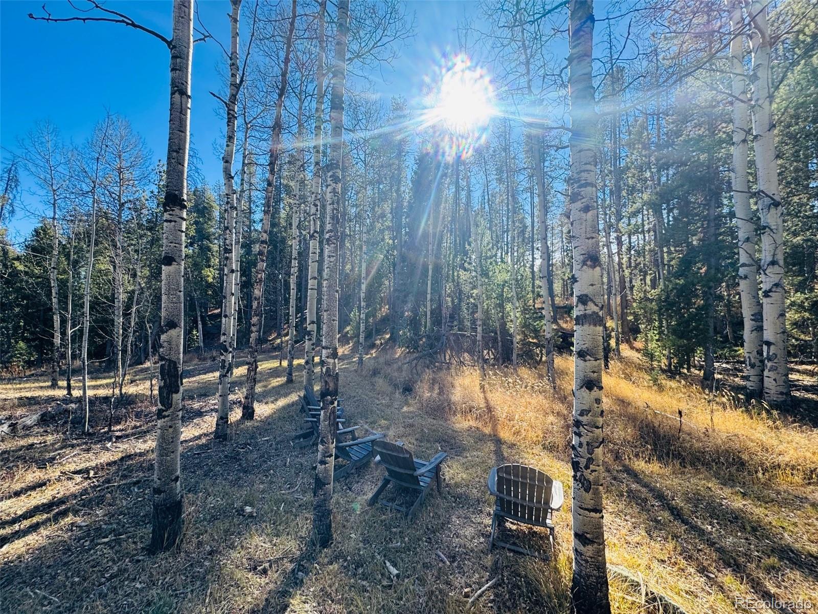 Lot 216620 Indian Springs Road Conifer CO 80433