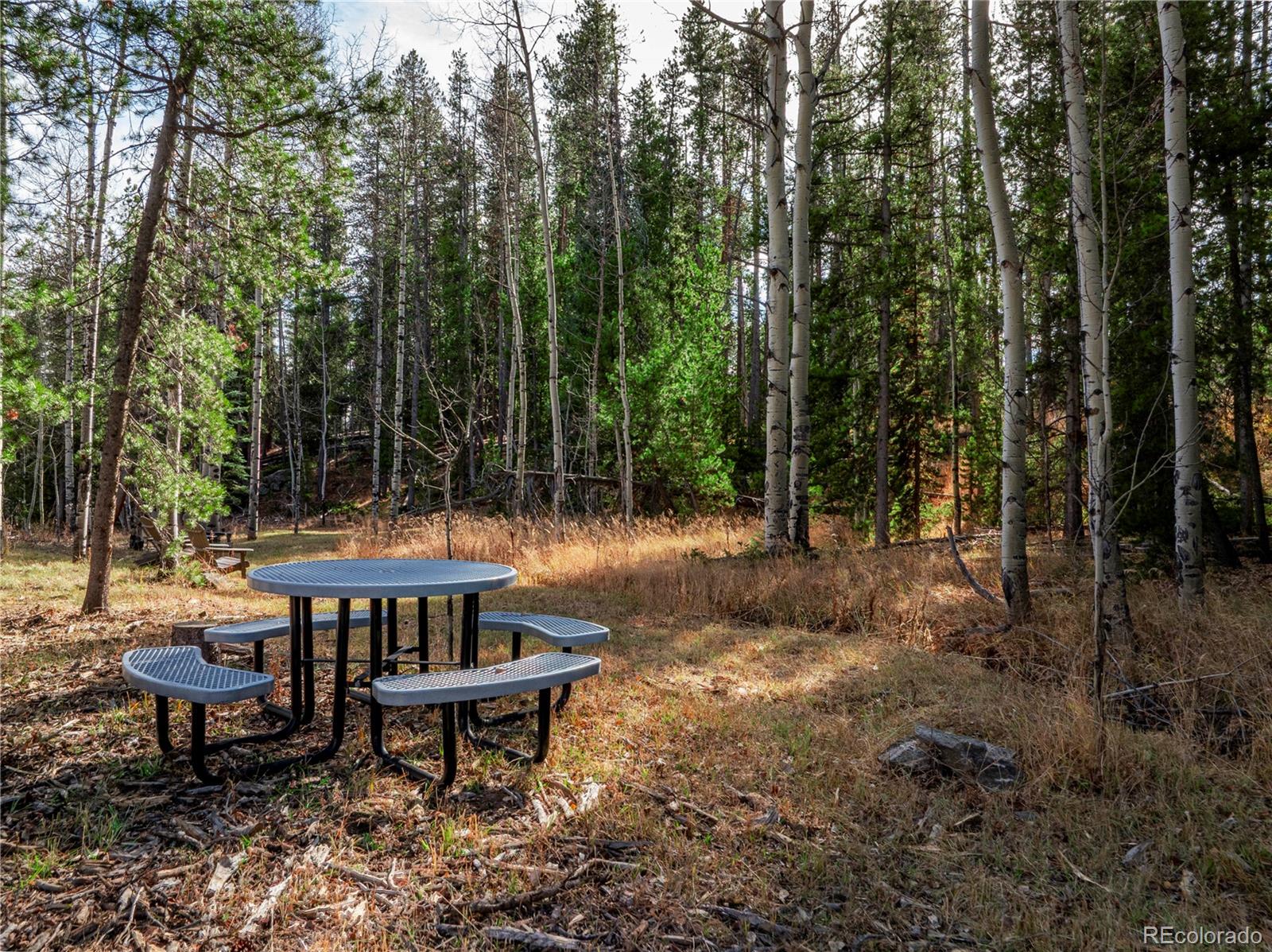 Lot 216620 Indian Springs Road Conifer CO 80433