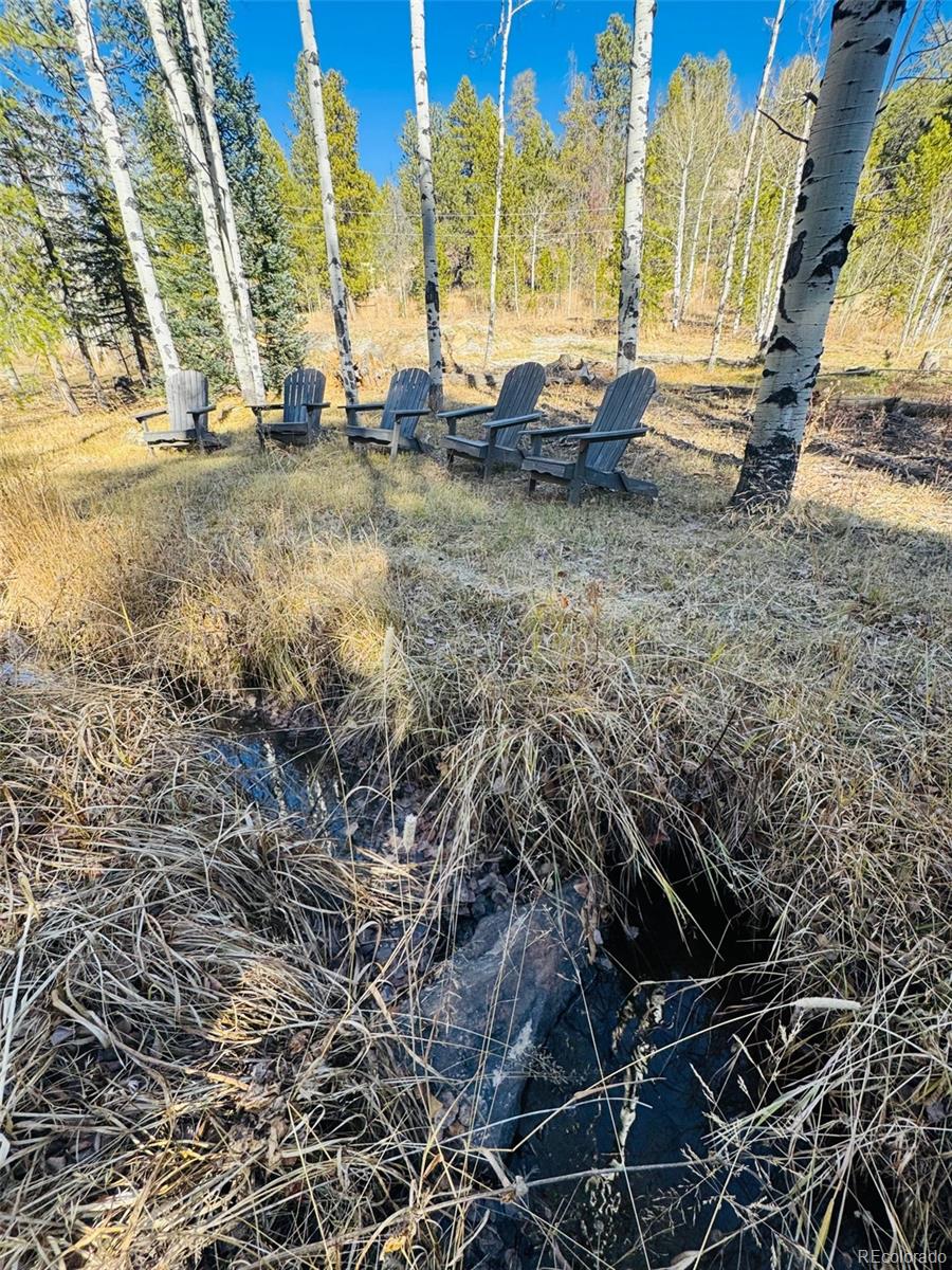 Lot 216620 Indian Springs Road Conifer CO 80433