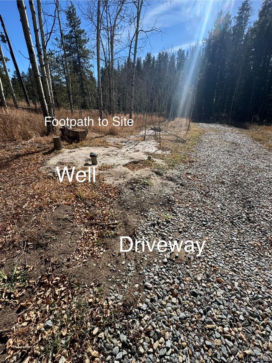 Lot 216620 Indian Springs Road Conifer CO 80433