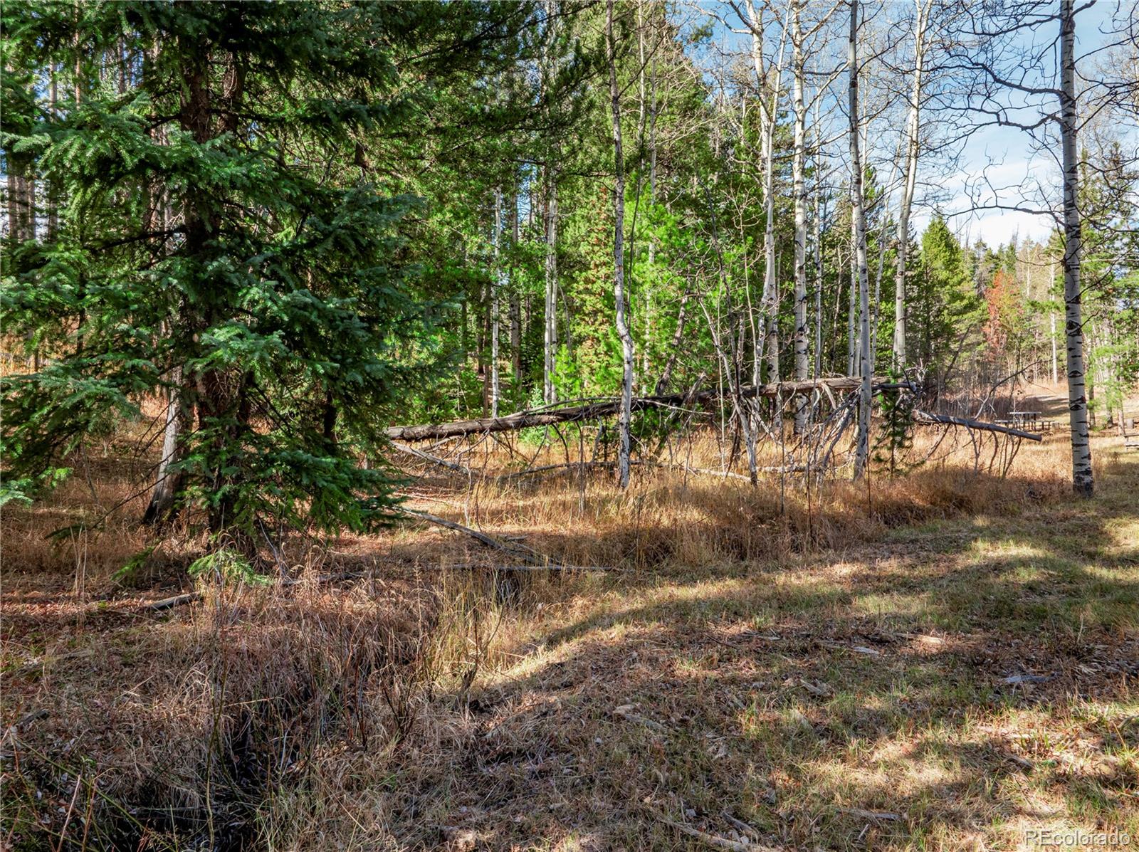 Lot 216620 Indian Springs Road Conifer CO 80433