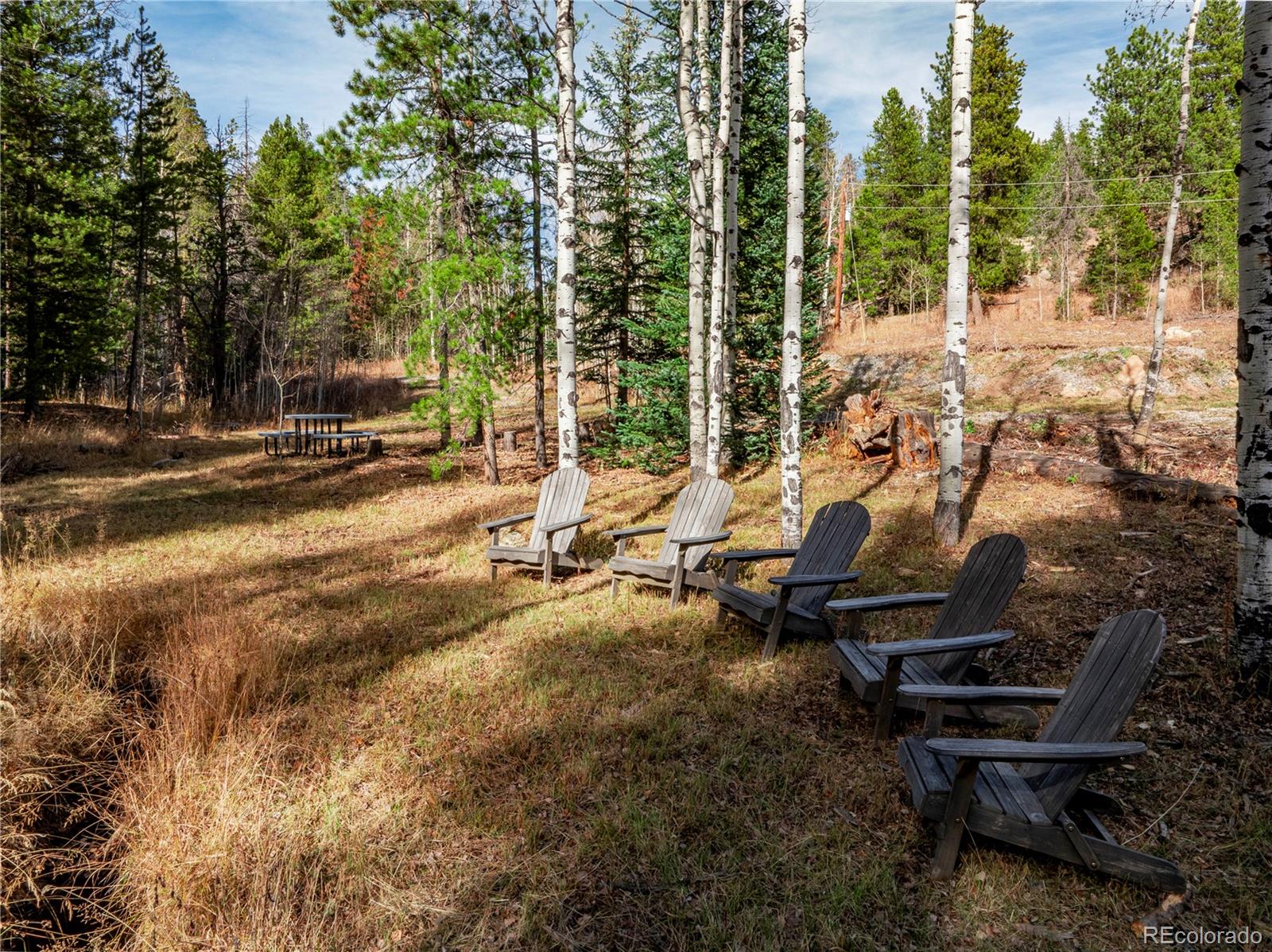Lot 216620 Indian Springs Road Conifer CO 80433