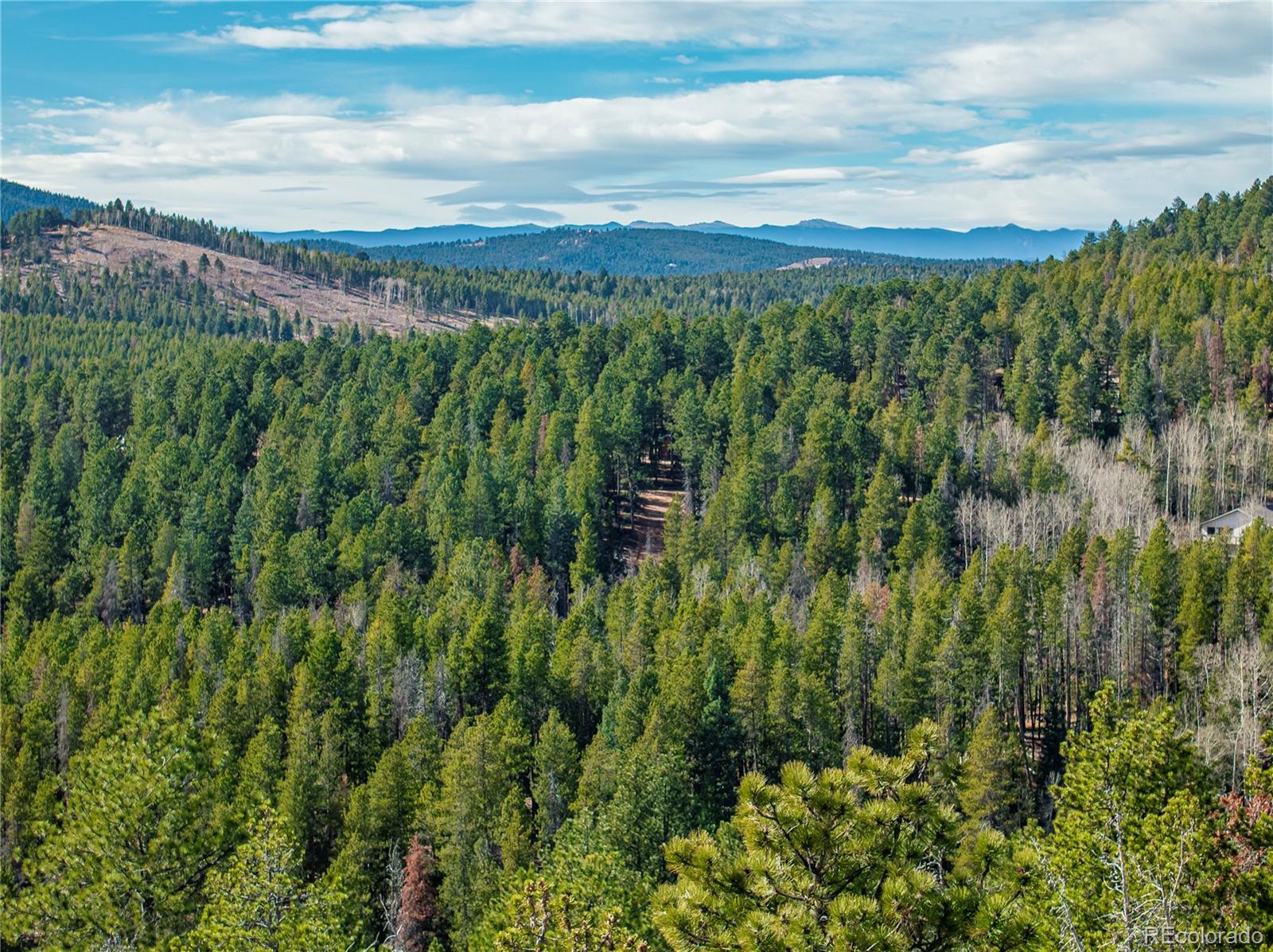 Lot 216620 Indian Springs Road Conifer CO 80433