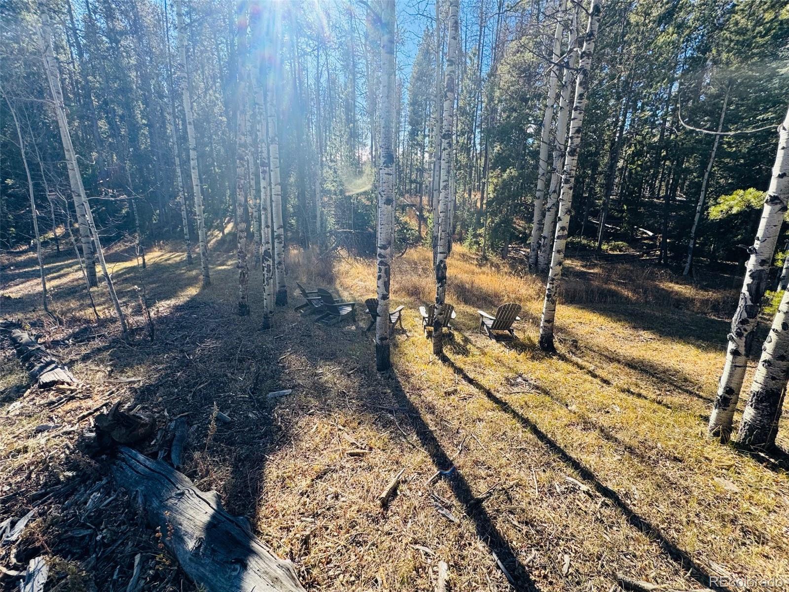 Lot 216620 Indian Springs Road Conifer CO 80433