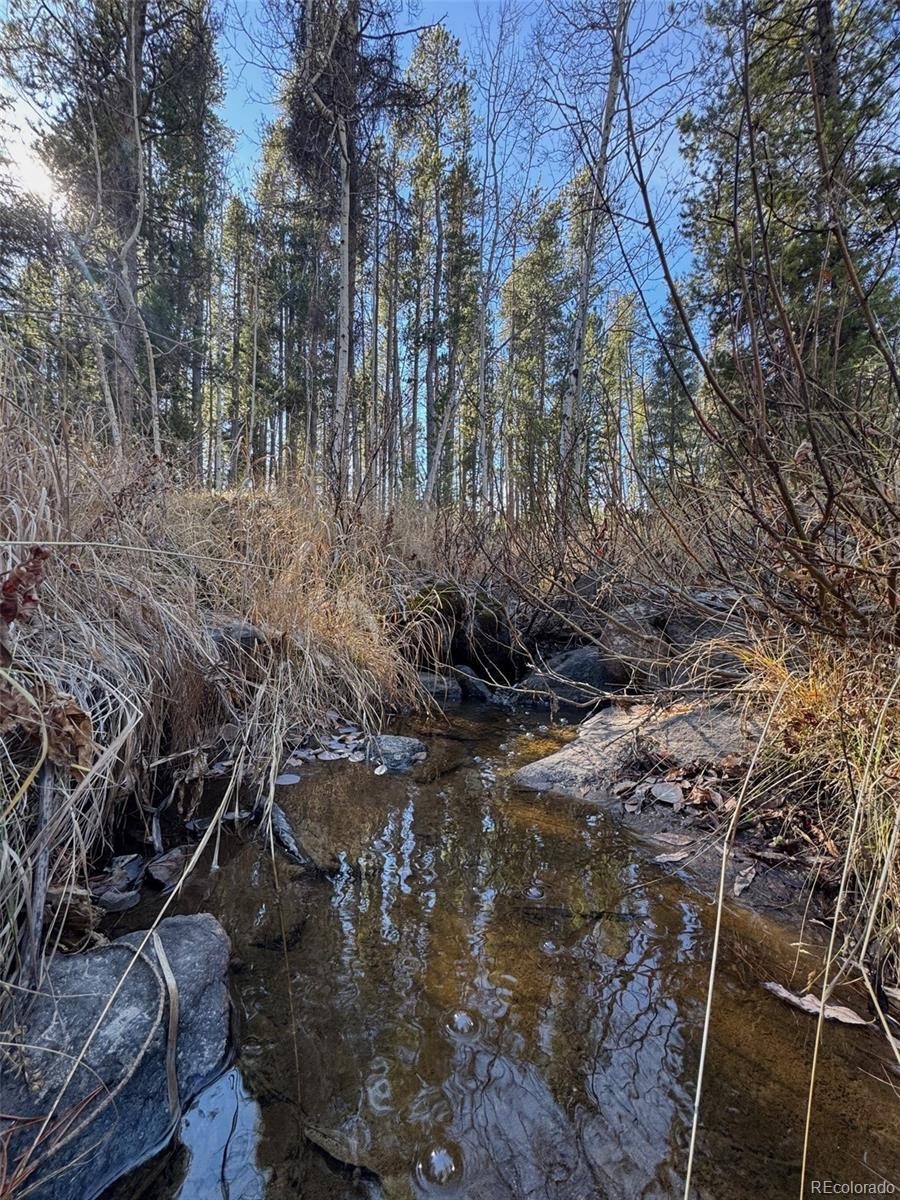 Lot 216620 Indian Springs Road Conifer CO 80433