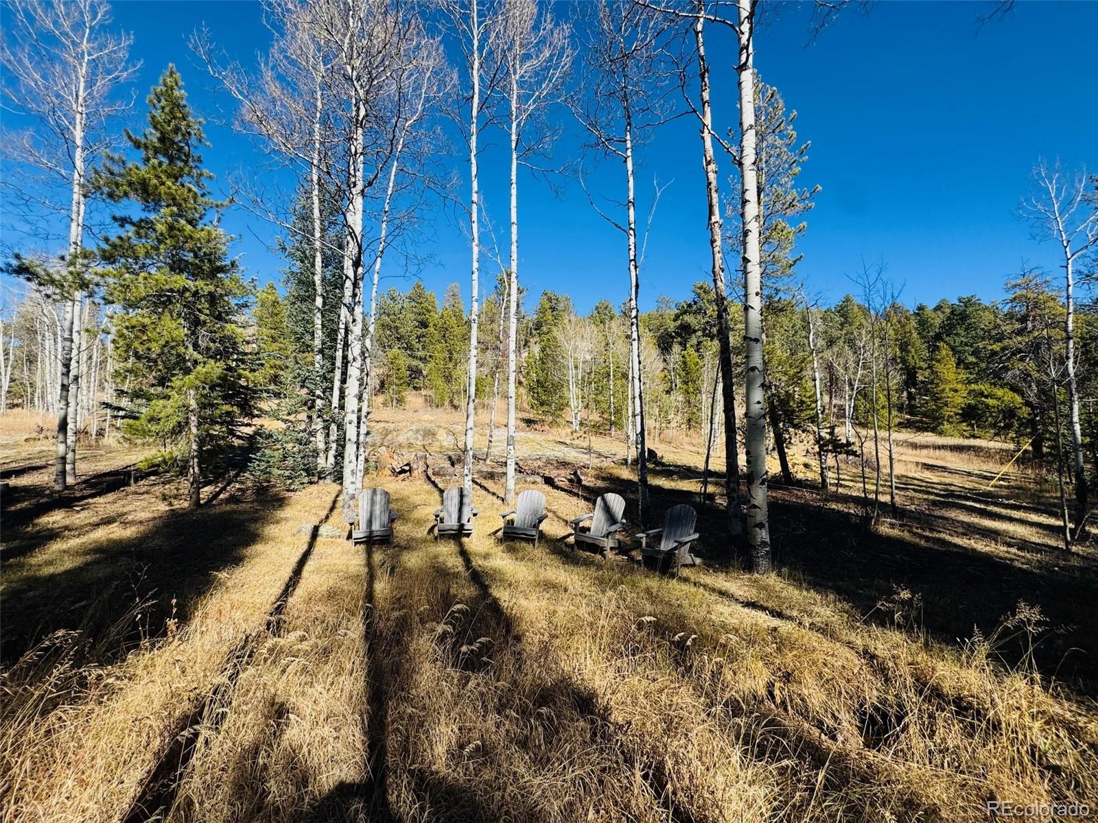 Lot 216620 Indian Springs Road Conifer CO 80433