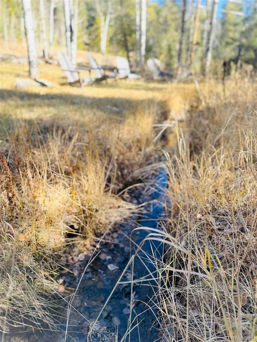 Lot 216620 Indian Springs Road Conifer CO 80433