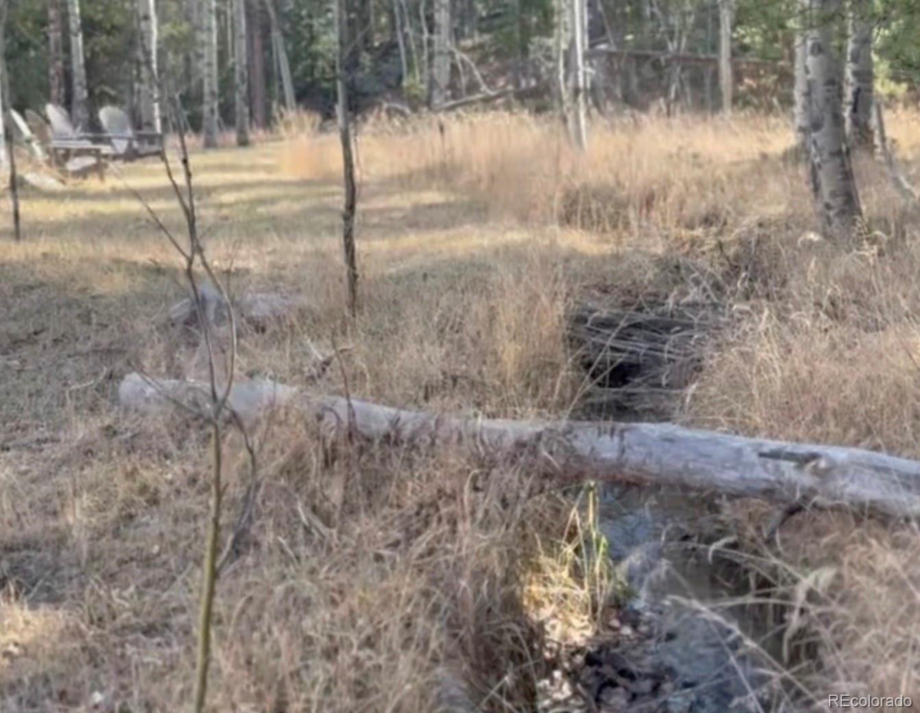 Lot 216620 Indian Springs Road Conifer CO 80433