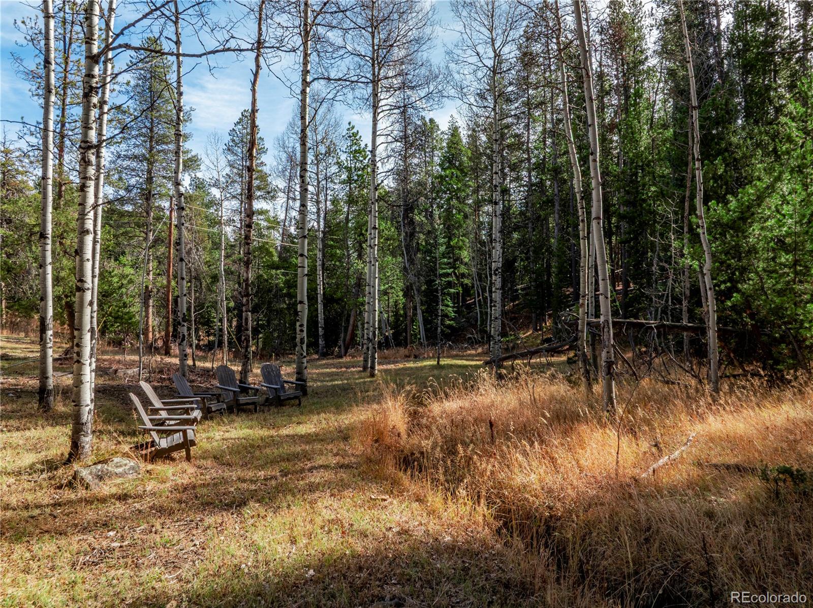 Lot 216620 Indian Springs Road Conifer CO 80433