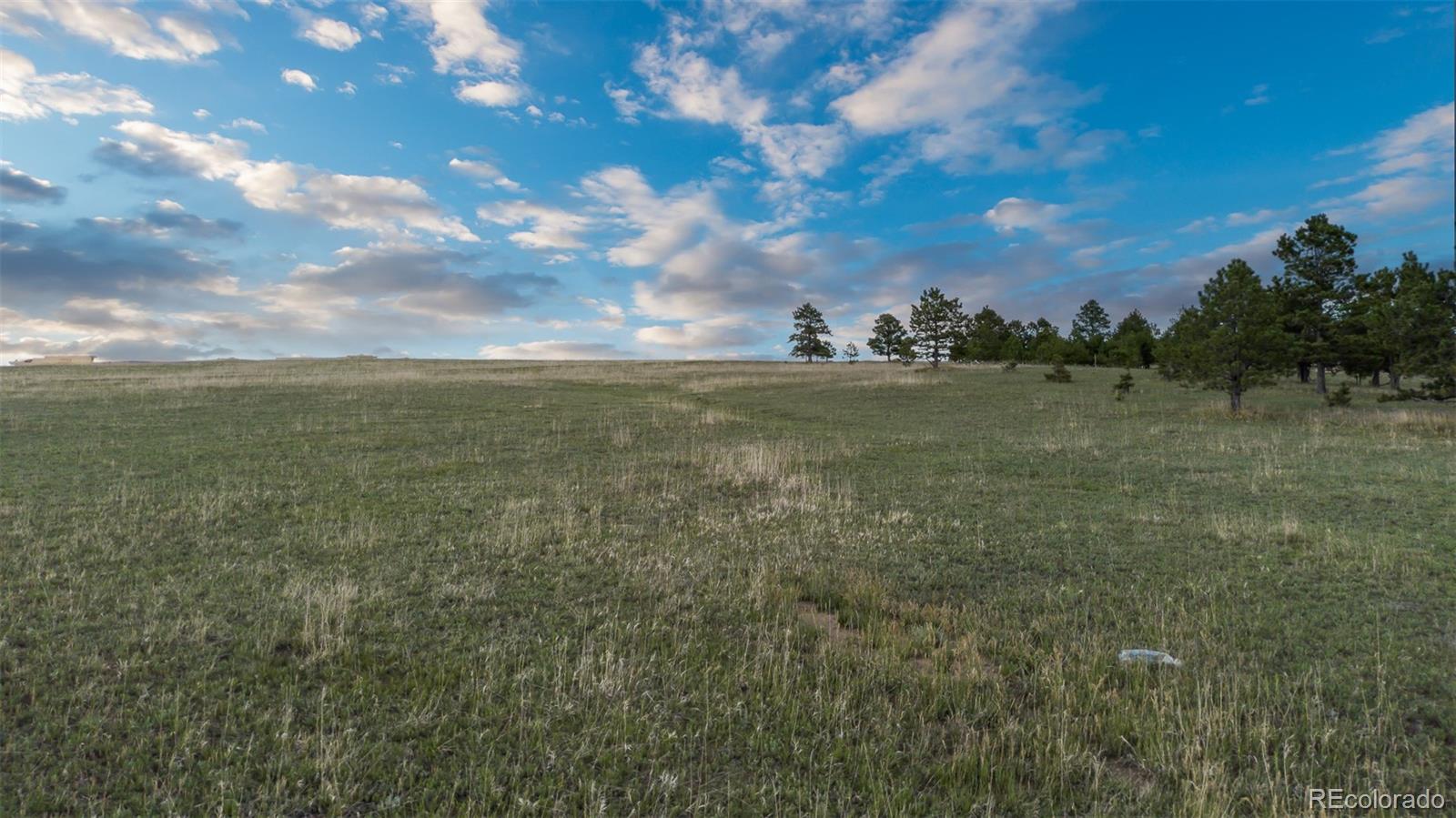 Bison Meadows Court Colorado Springs CO 80908