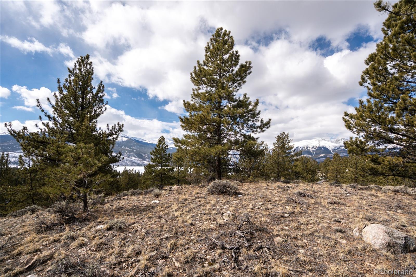 104 Northview Twin Lakes CO 81251