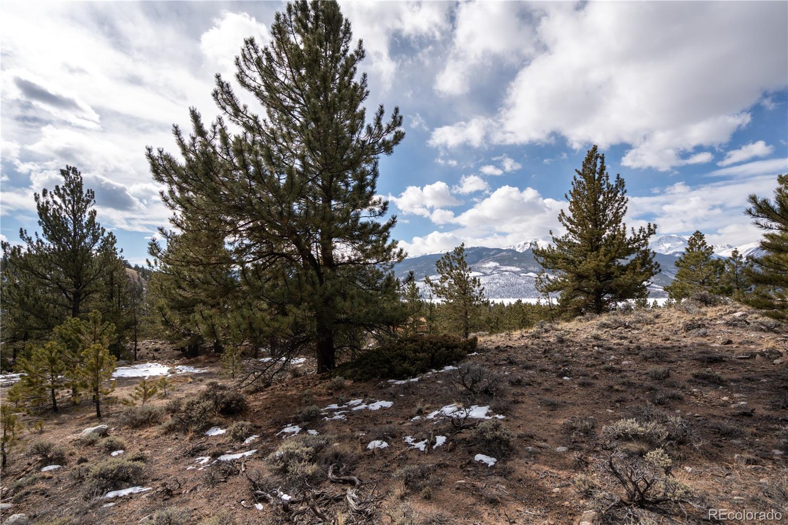 104 Northview Twin Lakes CO 81251