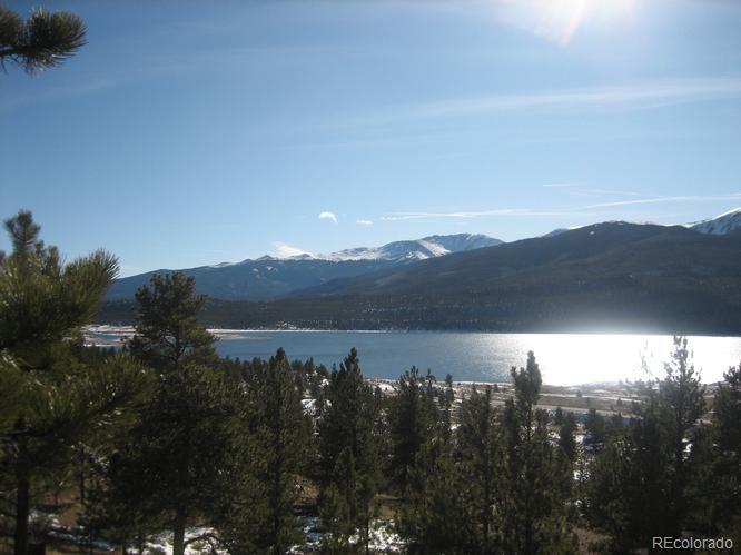 104 Northview Twin Lakes CO 81251