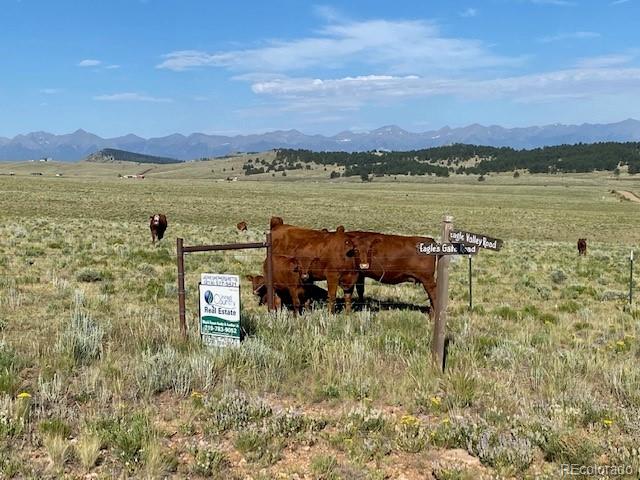 Eagles Gate Road Westcliffe CO 81252