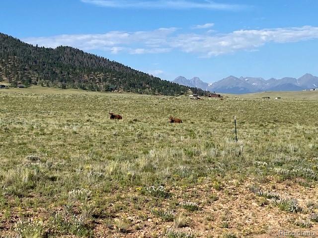 Eagles Gate Road Westcliffe CO 81252