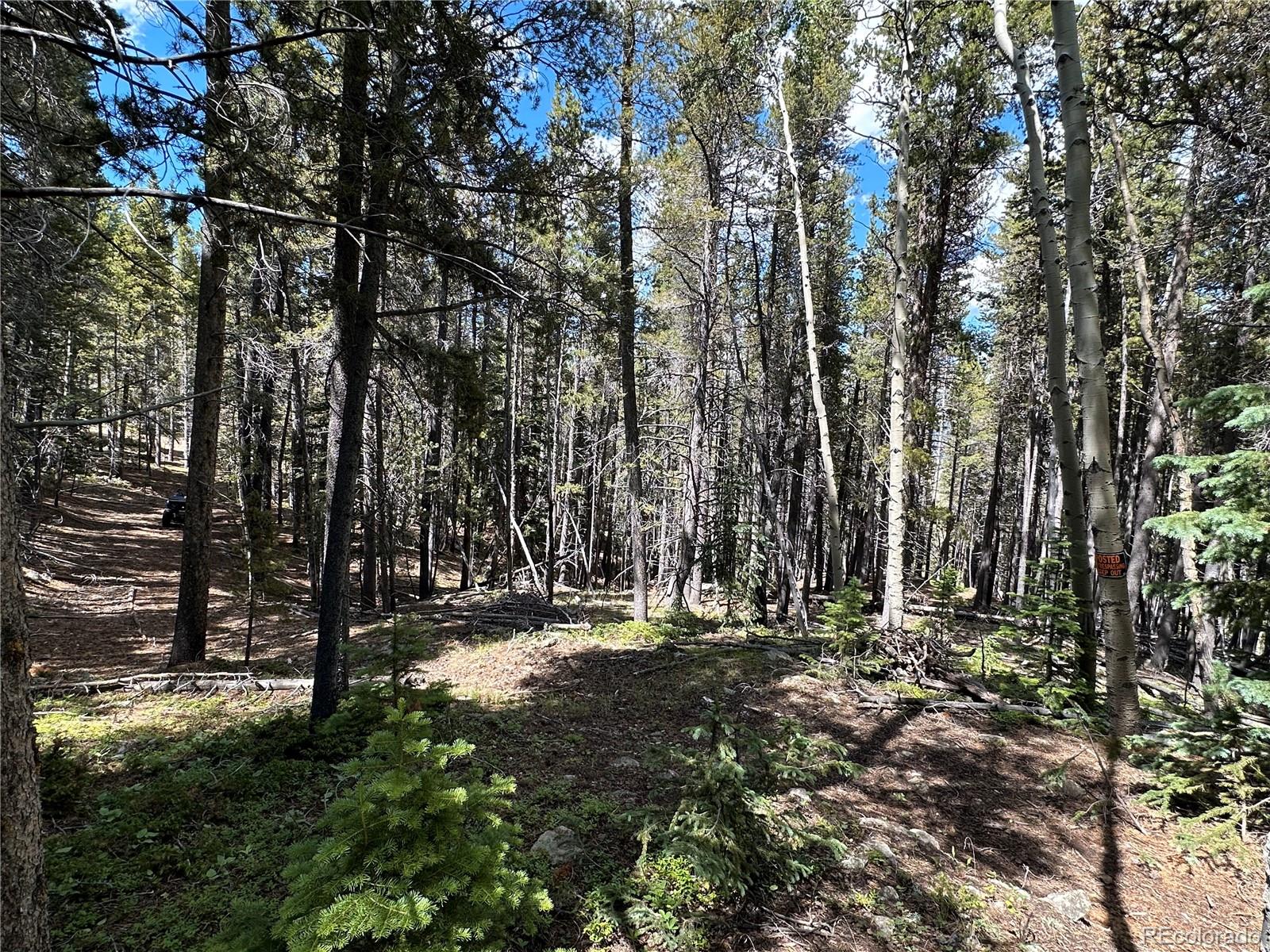 00 S Spring Gulch Idaho Springs CO 80452