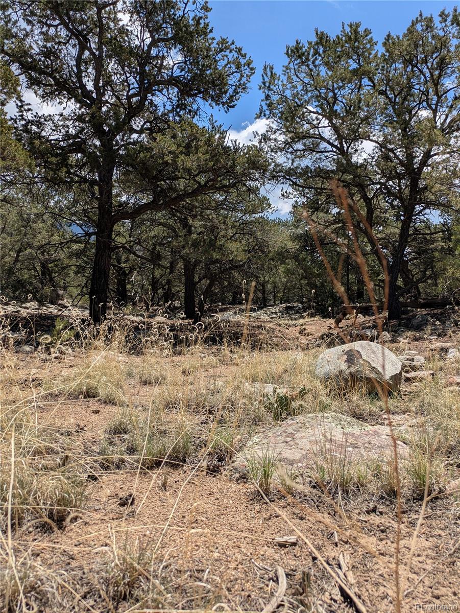3729 Enchanted Way Crestone CO 81131