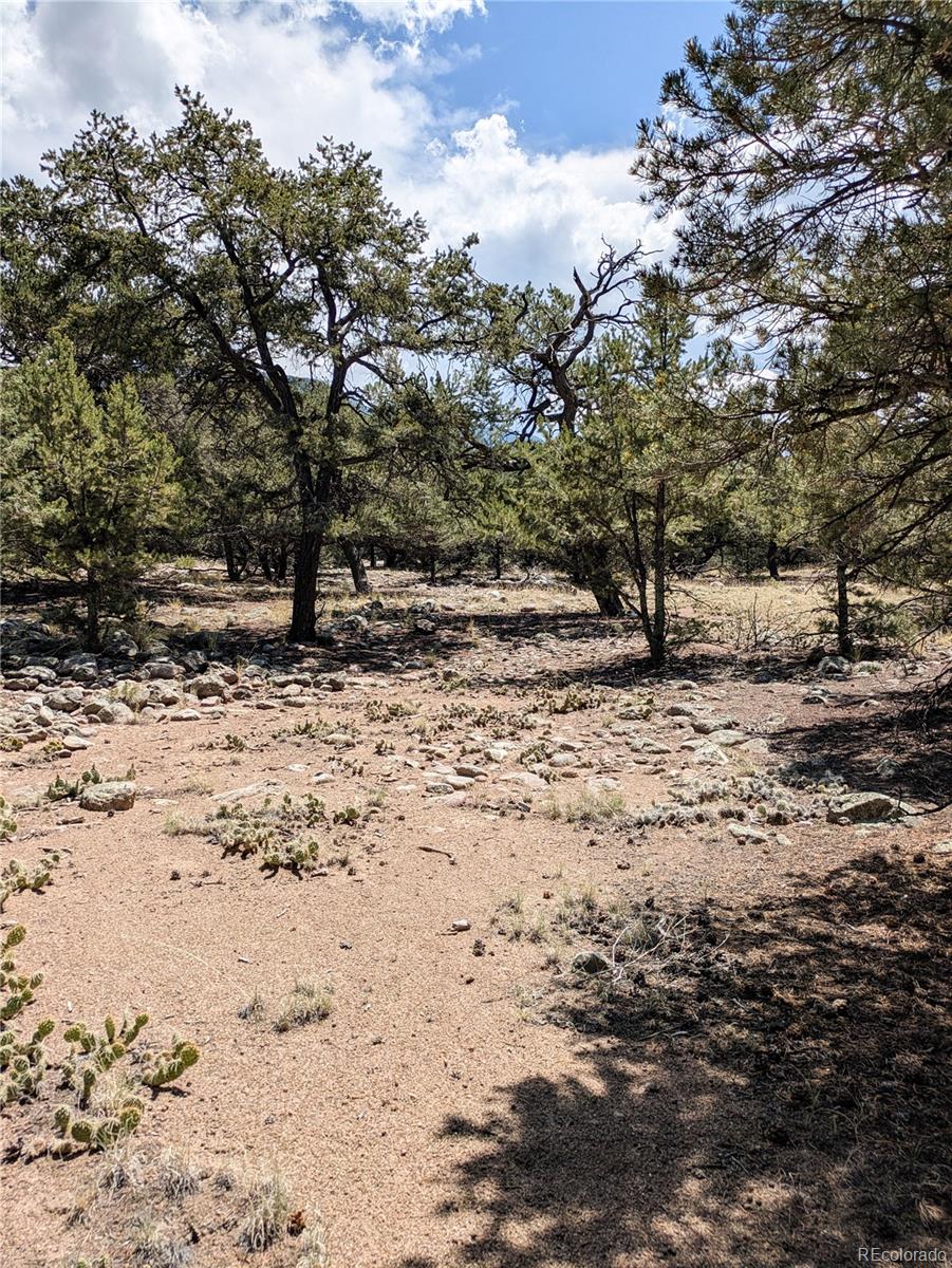 3729 Enchanted Way Crestone CO 81131