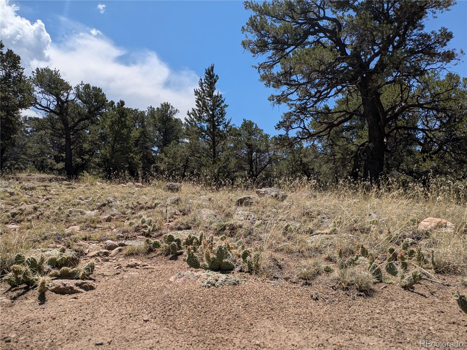 3729 Enchanted Way Crestone CO 81131