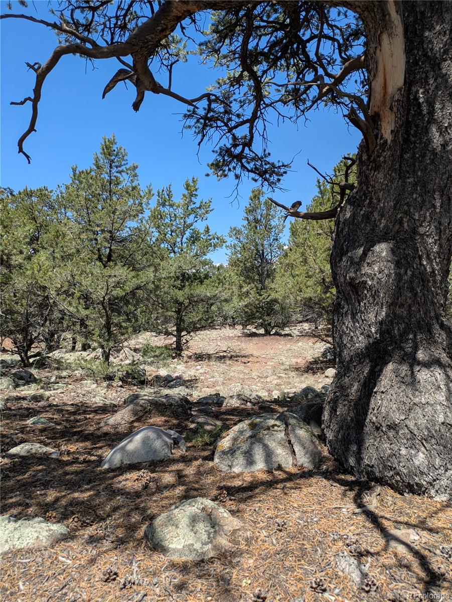 3729 Enchanted Way Crestone CO 81131