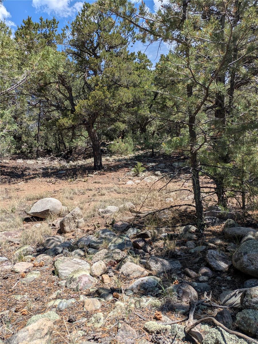 3729 Enchanted Way Crestone CO 81131