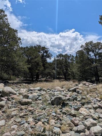 3729 Enchanted Way Crestone CO 81131