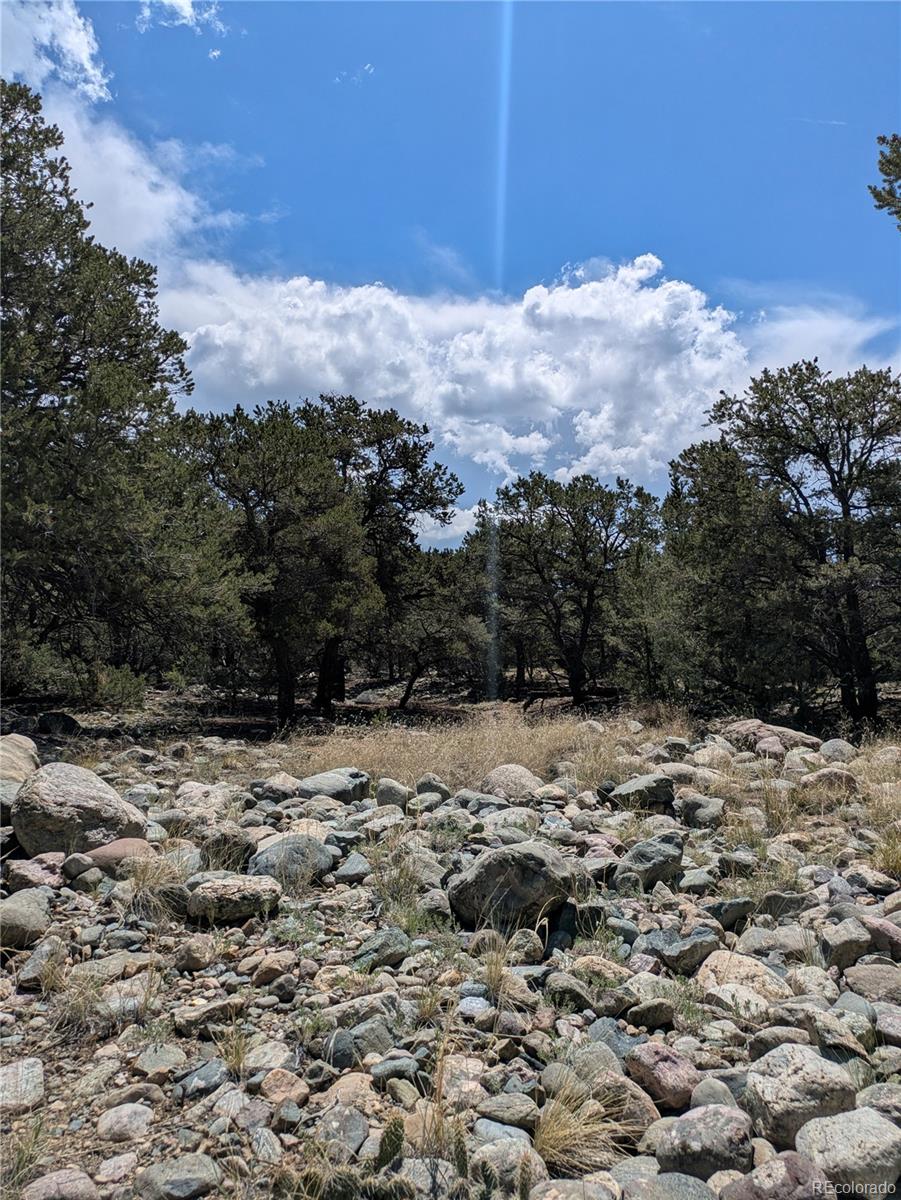 3729 Enchanted Way Crestone CO 81131