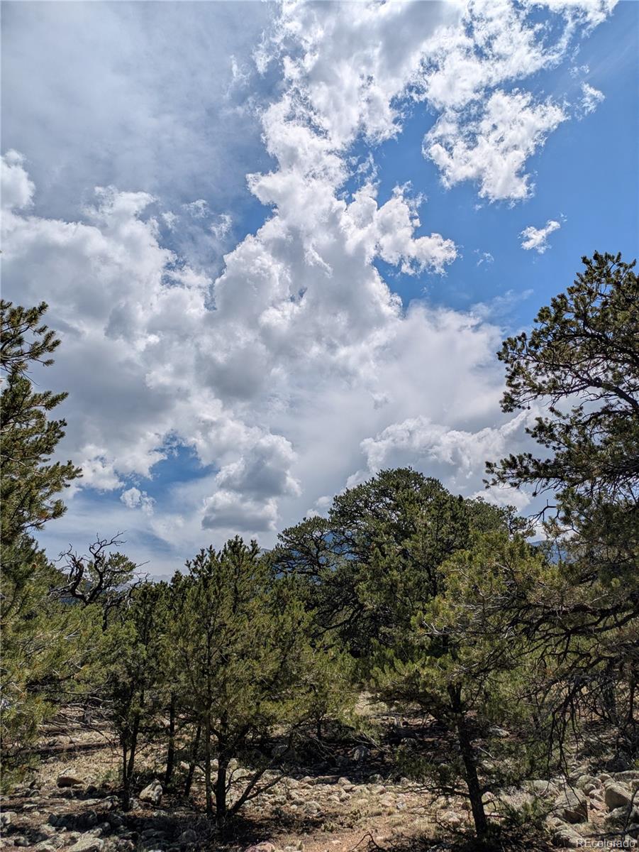 3729 Enchanted Way Crestone CO 81131