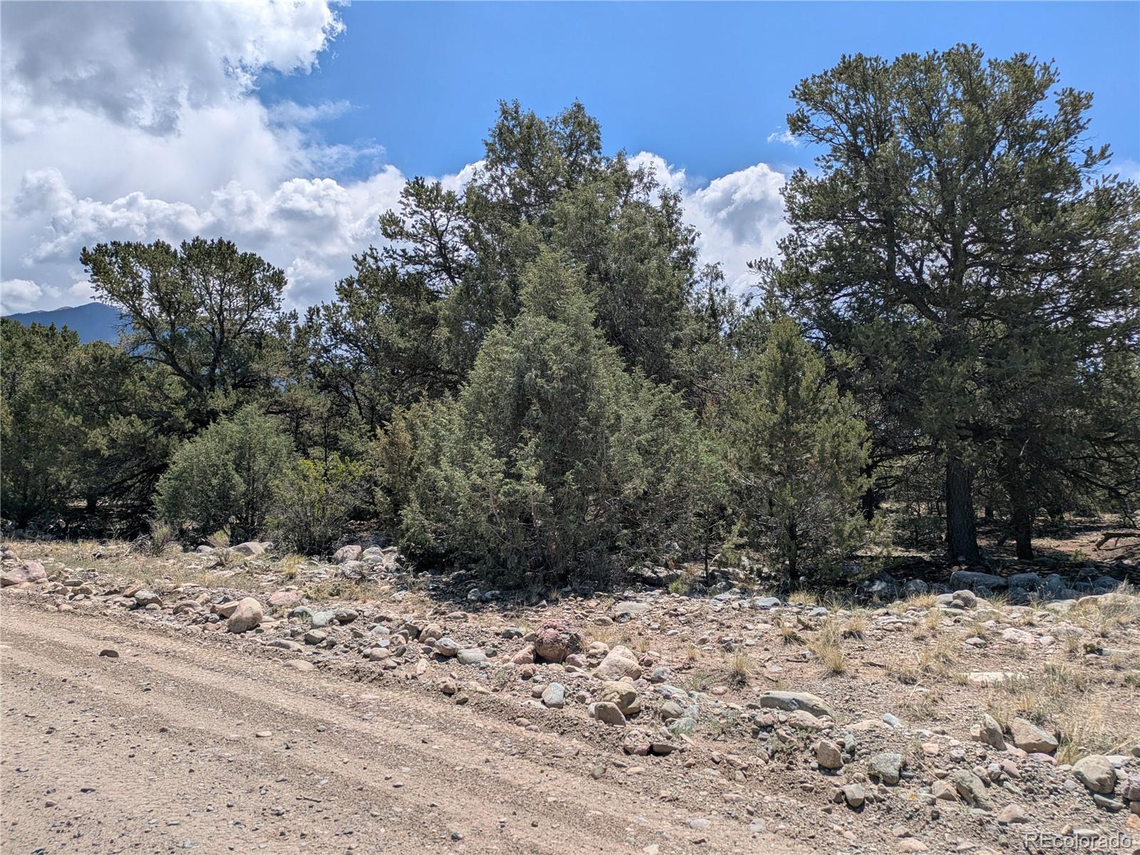 3729 Enchanted Way Crestone CO 81131