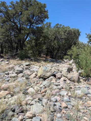 3729 Enchanted Way Crestone CO 81131