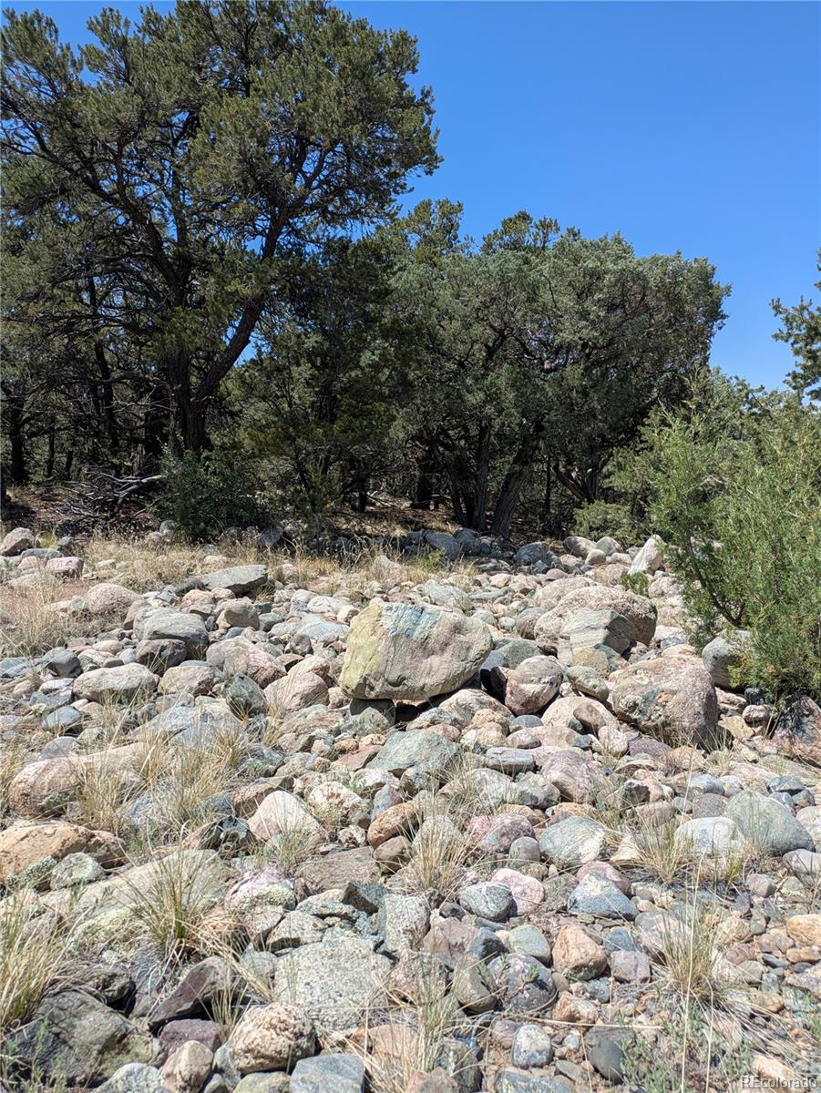 3729 Enchanted Way Crestone CO 81131