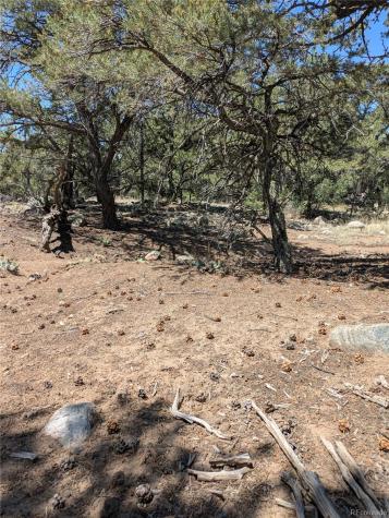 3729 Enchanted Way Crestone CO 81131