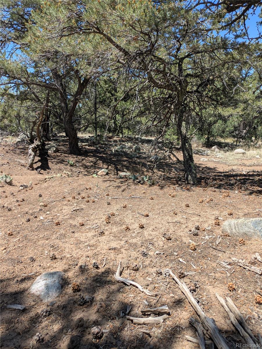 3729 Enchanted Way Crestone CO 81131