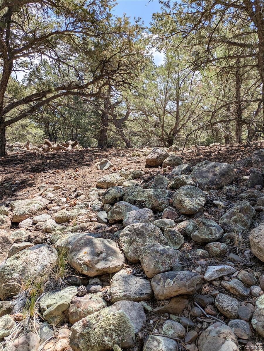 3729 Enchanted Way Crestone CO 81131