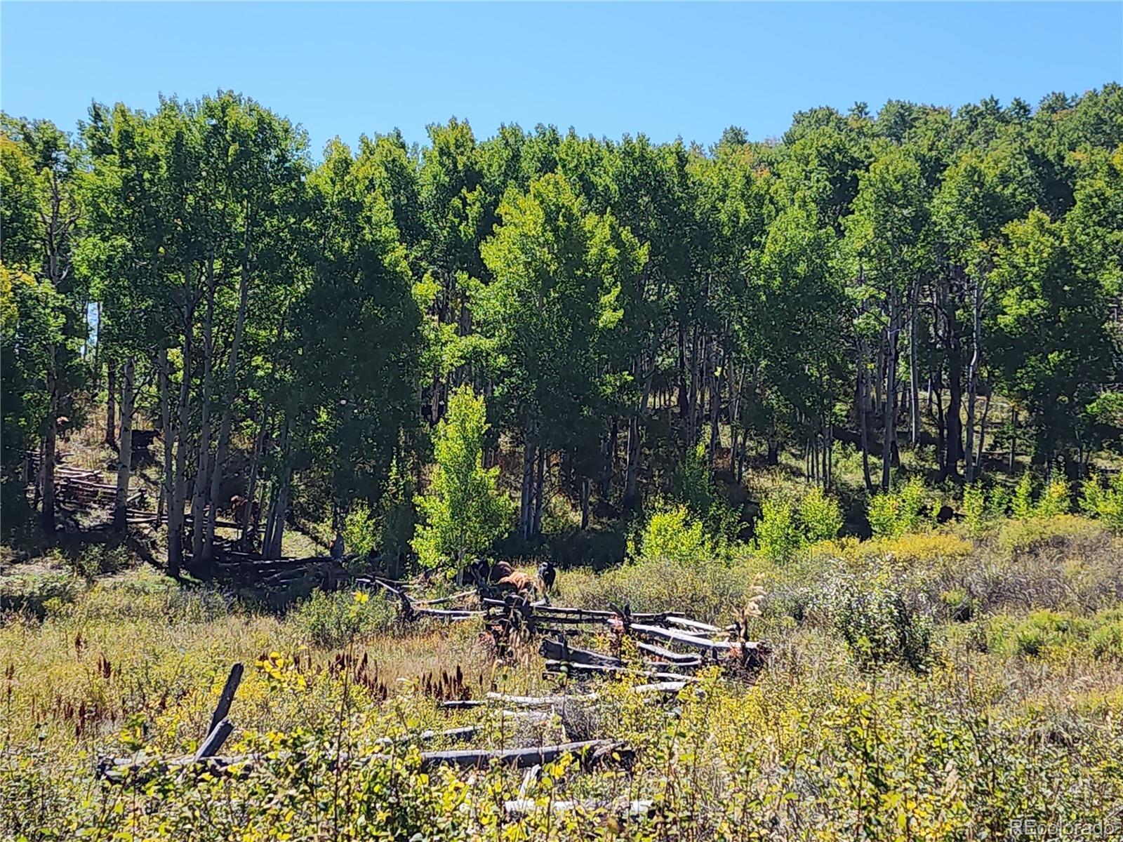 2586 26 1/10 Road Gateway CO 81522