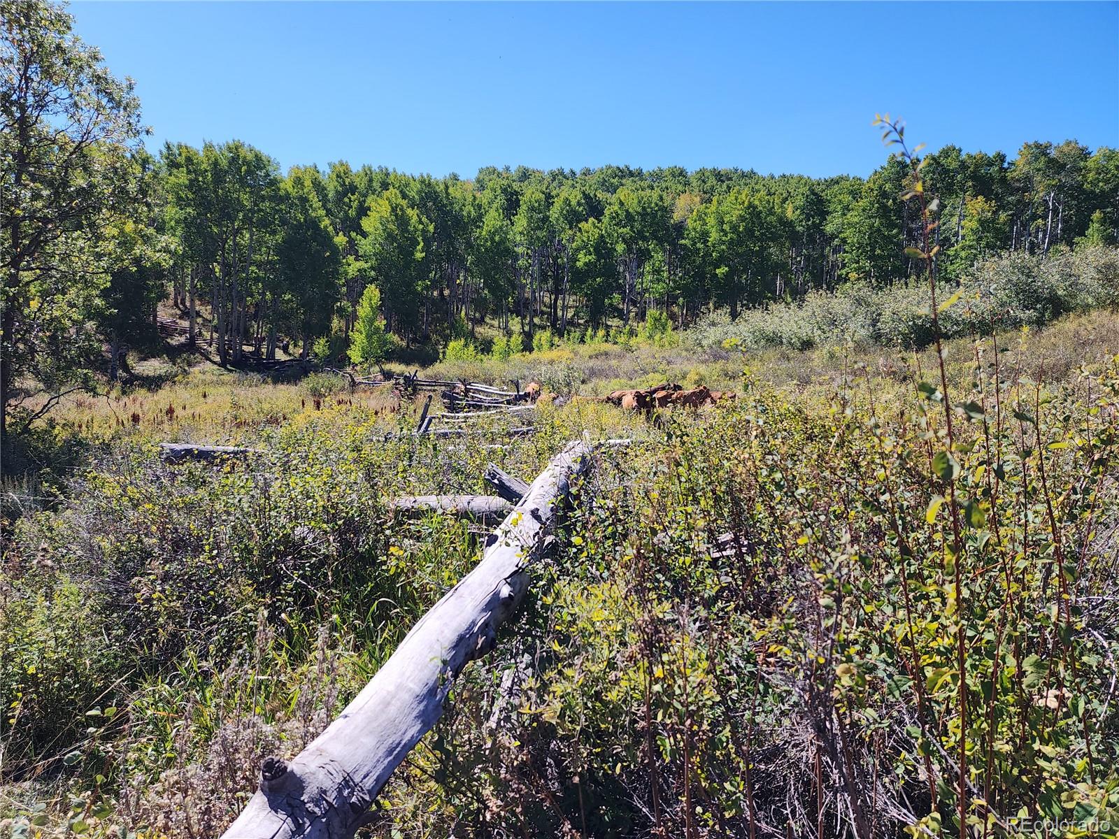2586 26 1/10 Road Gateway CO 81522