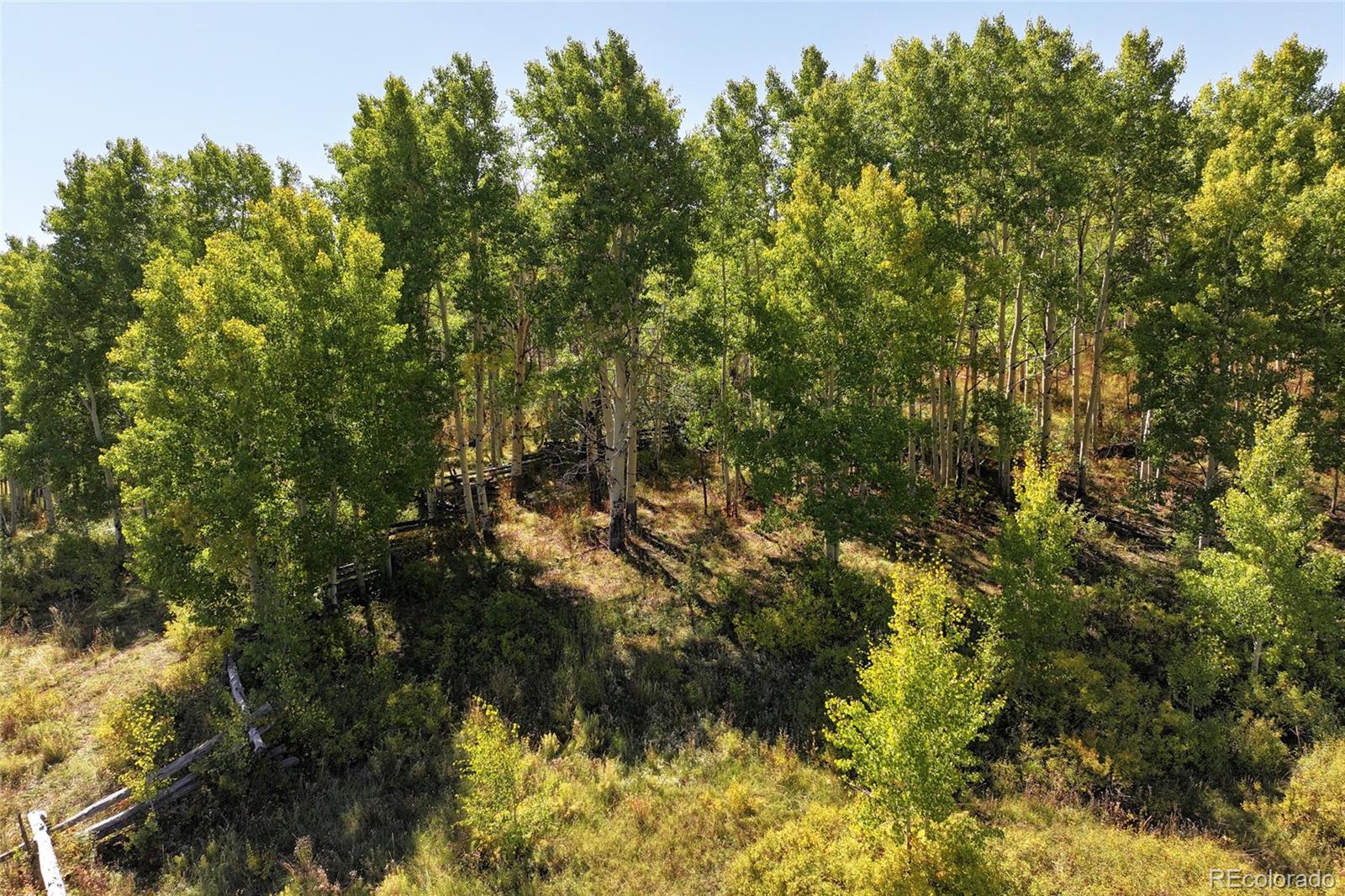 2586 26 1/10 Road Gateway CO 81522